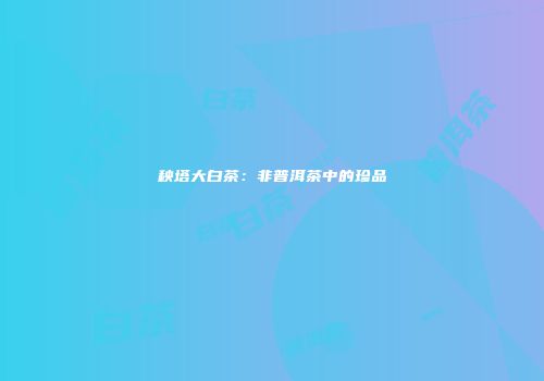 秧塔大白茶：非普洱茶中的珍品