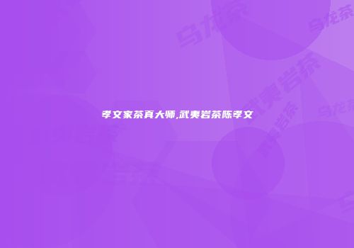 孝文家茶真大师,武夷岩茶陈孝文