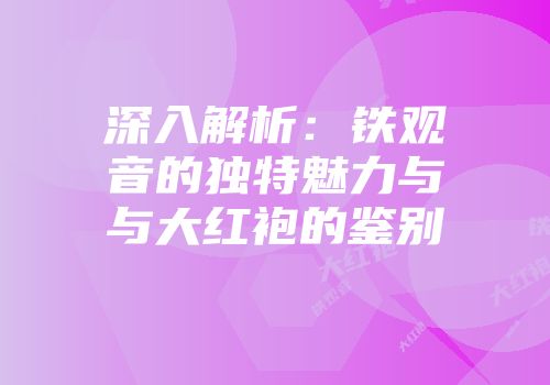 深入解析：铁观音的独特魅力与与大红袍的鉴别