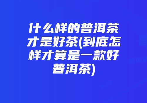 什么样的普洱茶才是好茶(到底怎样才算是一款好普洱茶)