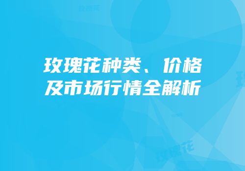 玫瑰花种类、价格及市场行情全解析