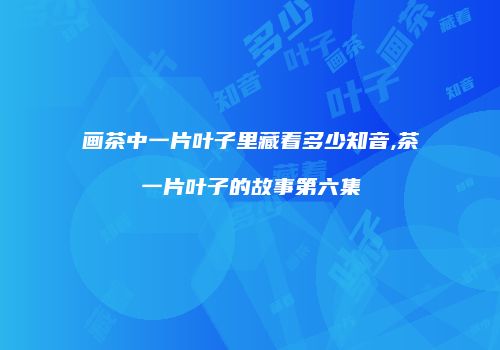 画茶中一片叶子里藏着多少知音,茶一片叶子的故事第六集