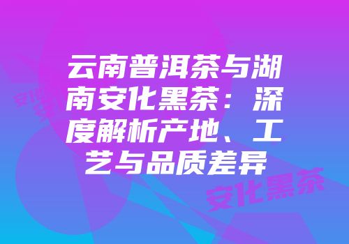云南普洱茶与湖南安化黑茶：深度解析产地、工艺与品质差异