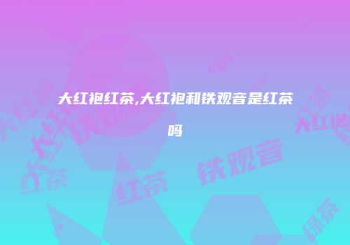 大红袍红茶,大红袍和铁观音是红茶吗