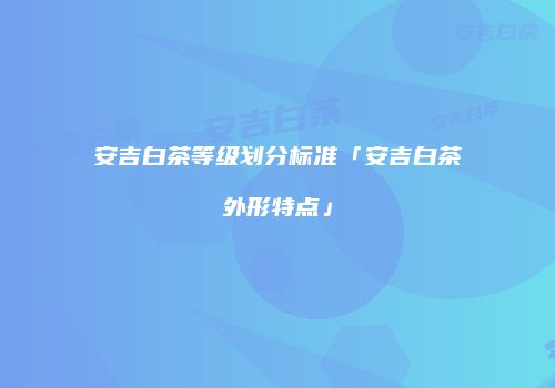安吉白茶等级划分标准「安吉白茶外形特点」