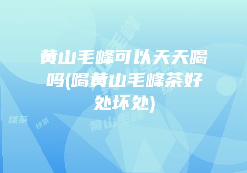 黄山毛峰可以天天喝吗(喝黄山毛峰茶好处坏处)