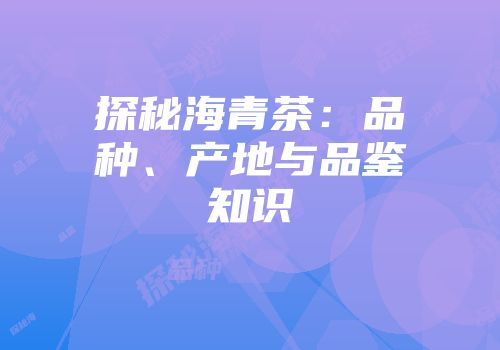 探秘海青茶：品种、产地与品鉴知识