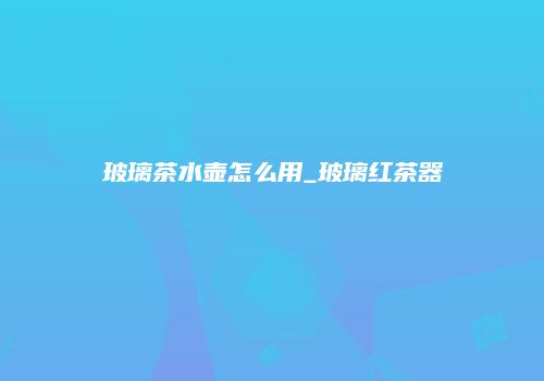 玻璃茶水壶怎么用_玻璃红茶器