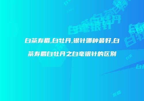 白茶寿眉,白牡丹,银针哪种最好,白茶寿眉白牡丹之白毫银针的区别