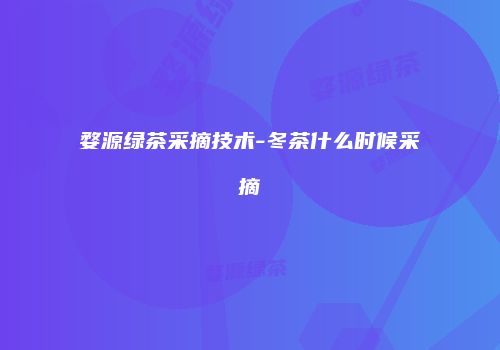 婺源绿茶采摘技术-冬茶什么时候采摘