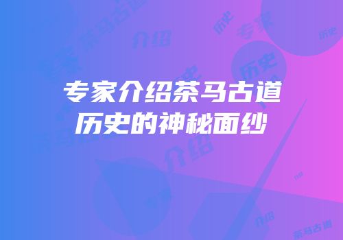 专家介绍茶马古道历史的神秘面纱