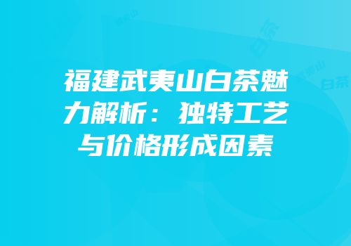 福建武夷山白茶魅力解析：独特工艺与价格形成因素