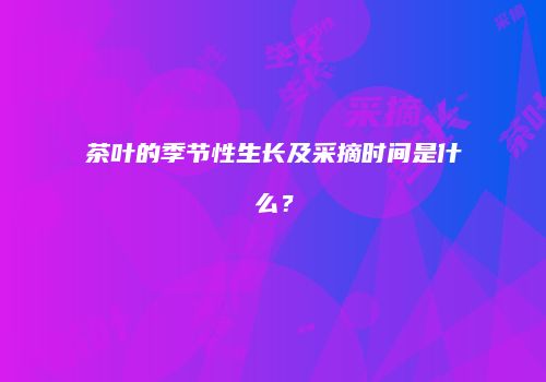 茶叶的季节性生长及采摘时间是什么？