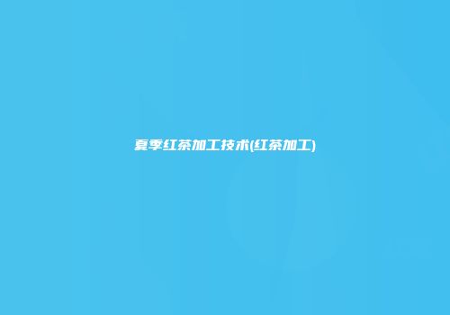 夏季红茶加工技术(红茶加工)