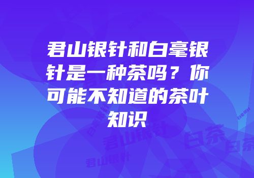 君山银针和白毫银针是一种茶吗？你可能不知道的茶叶知识
