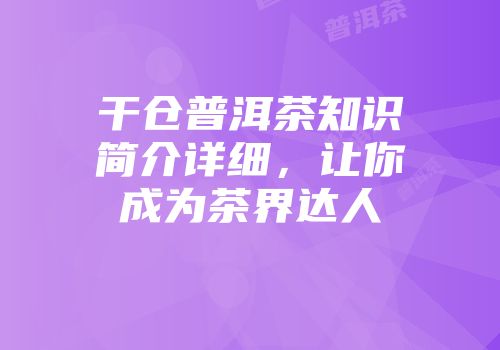 干仓普洱茶知识简介详细，让你成为茶界达人