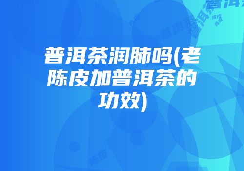 普洱茶润肺吗(老陈皮加普洱茶的功效)