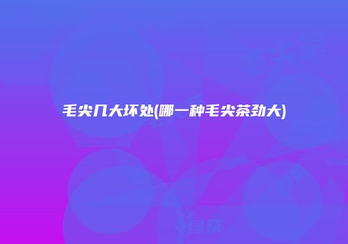 毛尖几大坏处(哪一种毛尖茶劲大)