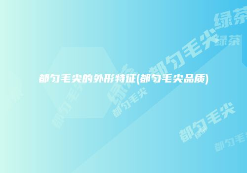 都匀毛尖的外形特征(都匀毛尖品质)