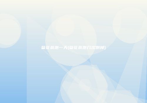菊花茶泡一天(菊花茶泡几次倒掉)