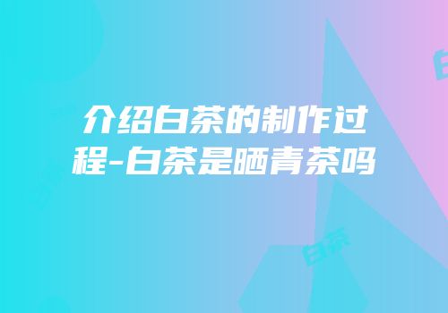 介绍白茶的制作过程-白茶是晒青茶吗