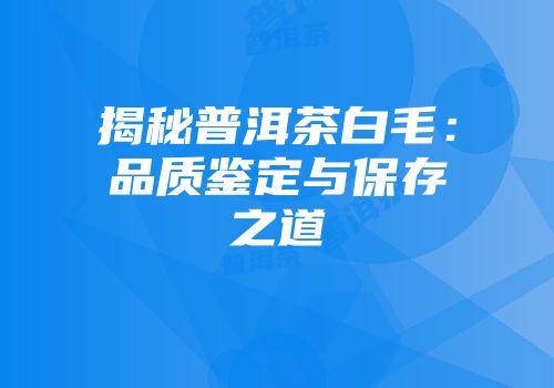 揭秘普洱茶白毛：品质鉴定与保存之道