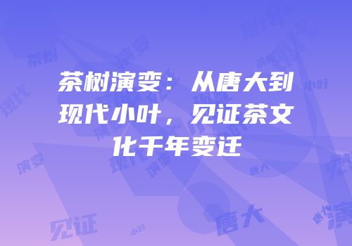 茶树演变：从唐大到现代小叶，见证茶文化千年变迁