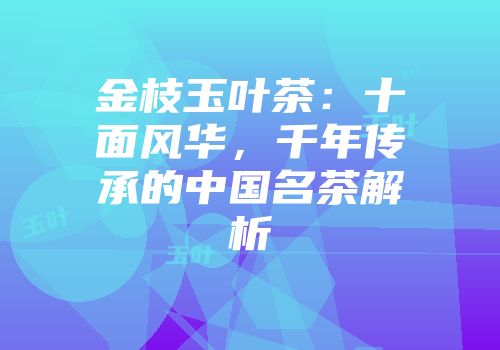 金枝玉叶茶：十面风华，千年传承的中国名茶解析