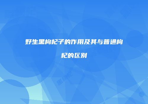 野生黑枸杞子的作用及其与普通枸杞的区别