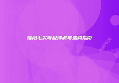 信阳毛尖等级详解与选购指南