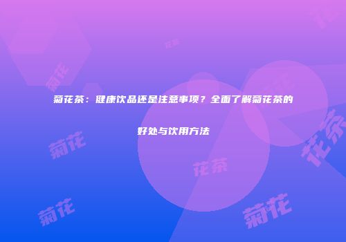 菊花茶：健康饮品还是注意事项？全面了解菊花茶的好处与饮用方法