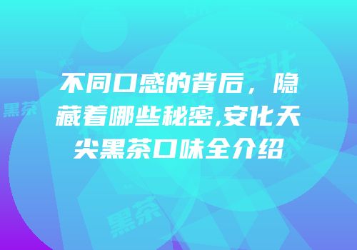 不同口感的背后，隐藏着哪些秘密,安化天尖黑茶口味全介绍