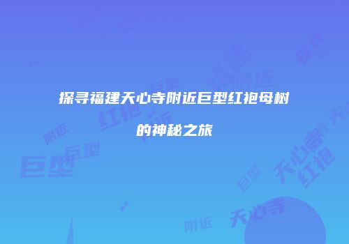 探寻福建天心寺附近巨型红袍母树的神秘之旅
