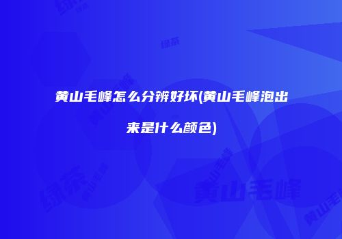 黄山毛峰怎么分辨好坏(黄山毛峰泡出来是什么颜色)