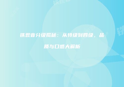 铁观音分级揭秘：从特级到四级，品质与口感大解析