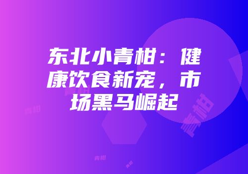 东北小青柑：健康饮食新宠，市场黑马崛起