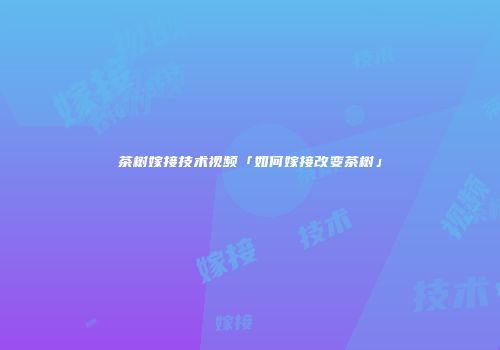 茶树嫁接技术视频「如何嫁接改变茶树」