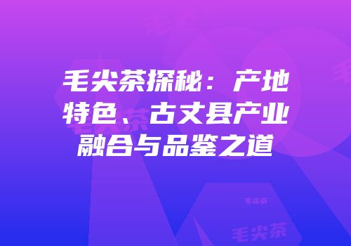 毛尖茶探秘：产地特色、古丈县产业融合与品鉴之道