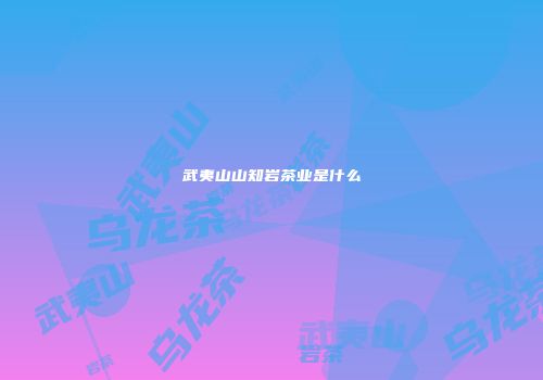 武夷山山知岩茶业是什么