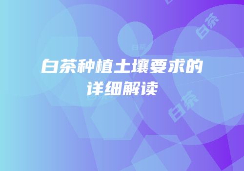 白茶种植土壤要求的详细解读