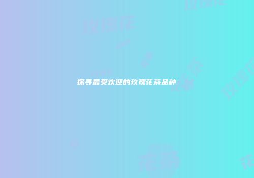 探寻最受欢迎的玫瑰花茶品种