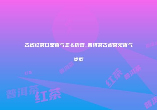 古树红茶口感香气怎么形容_普洱茶古树常见香气类型