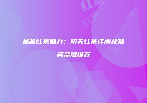 品鉴红茶魅力：功夫红茶详解及知名品牌推荐