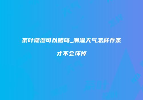 茶叶潮湿可以晒吗_潮湿天气怎样存茶才不会坏掉