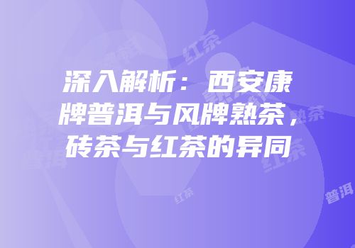 深入解析：西安康牌普洱与风牌熟茶，砖茶与红茶的异同