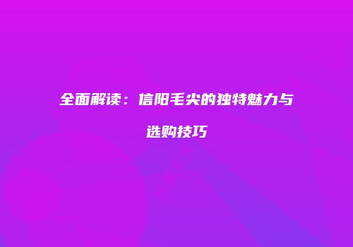 全面解读：信阳毛尖的独特魅力与选购技巧