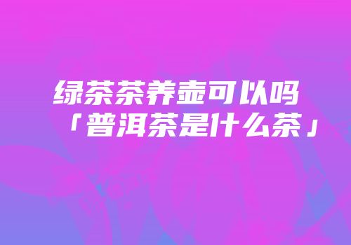 绿茶茶养壶可以吗「普洱茶是什么茶」