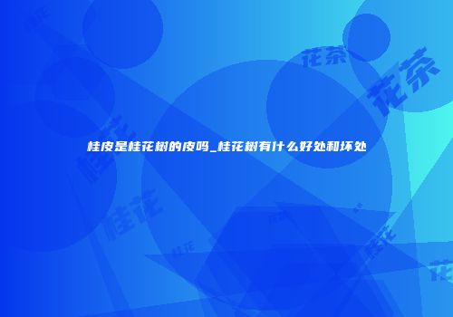 桂皮是桂花树的皮吗_桂花树有什么好处和坏处