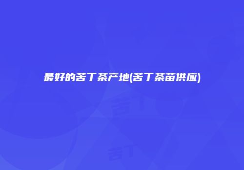 最好的苦丁茶产地(苦丁茶苗供应)