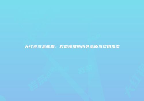 大红袍与金骏眉：岩茶翘楚的内外品质与饮用指南
